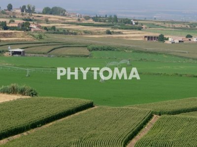 paisaje agrícola